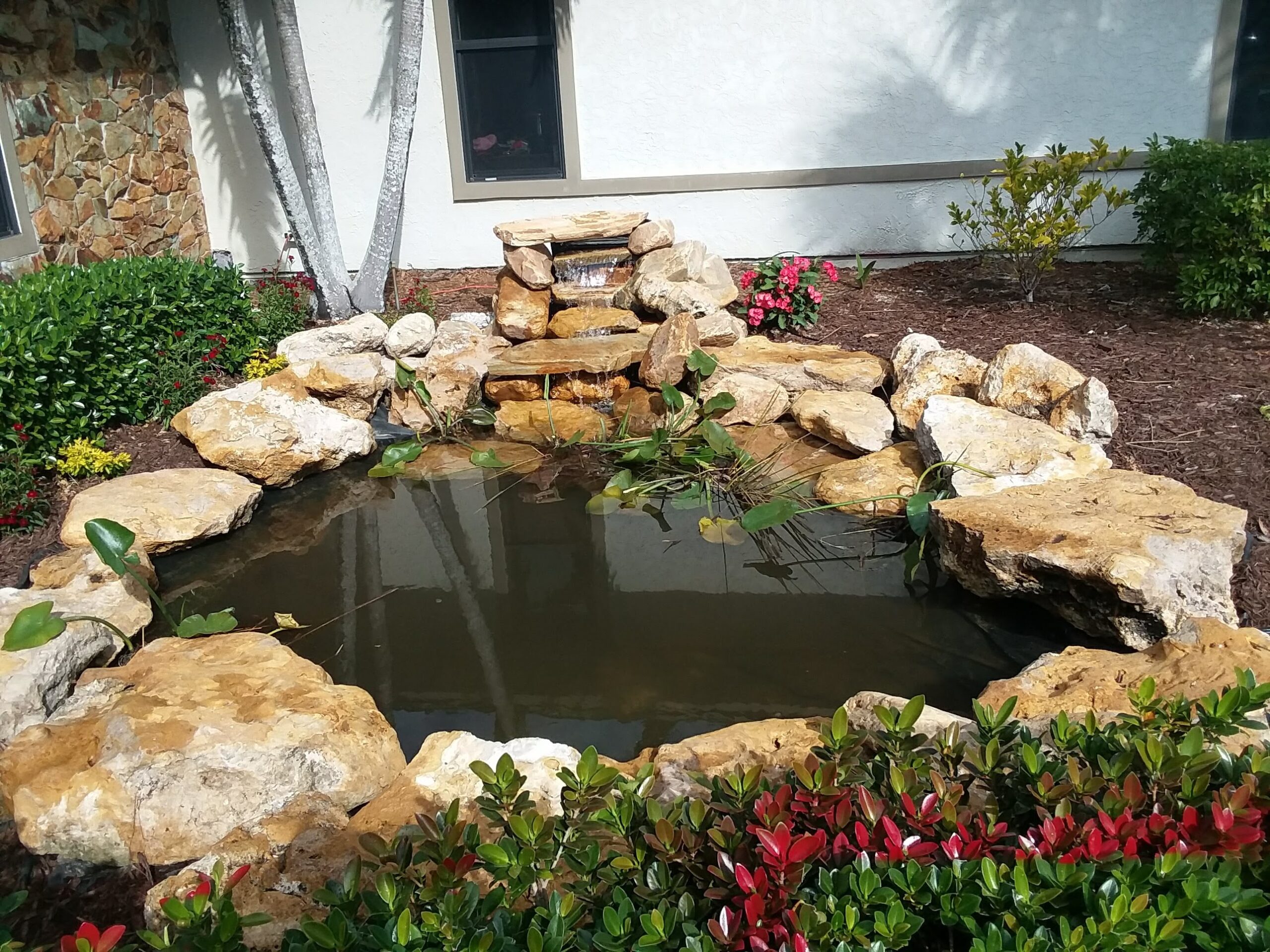 Pond and waterfall Palm City