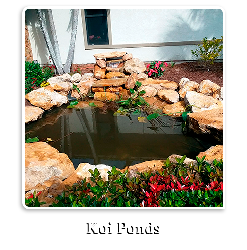 Koi pond installation