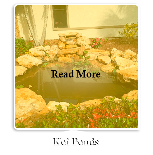 Read more about Koi ponds.