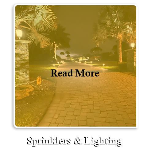 Read more about sprinklers and lighting
